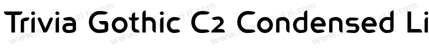 Trivia Gothic C2 Condensed Light字体转换